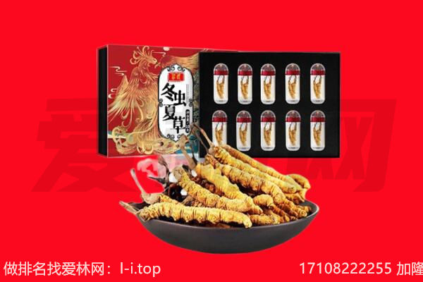 泰州市泰兴回收虫草.jpg